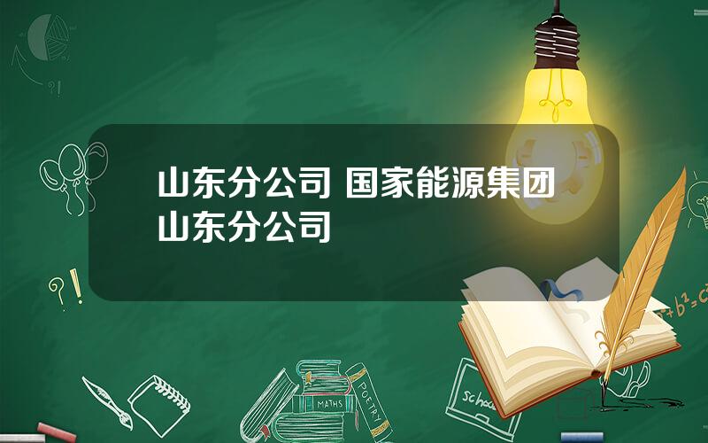 山东分公司 国家能源集团山东分公司